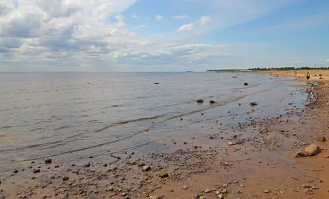 Финский залив