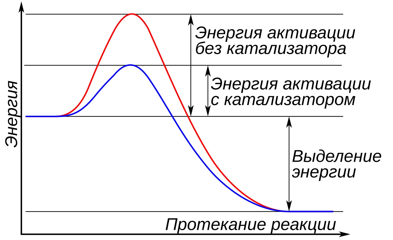 катализатор
