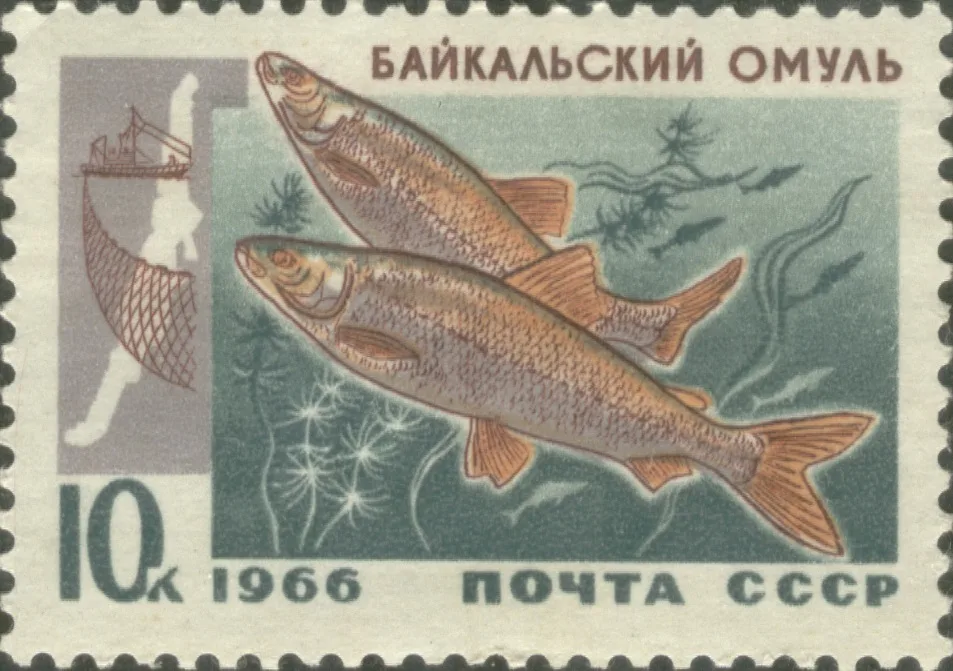 Омуль