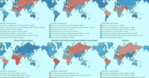 Кардио-рено-гепато-метаболический синдром в 2023 году